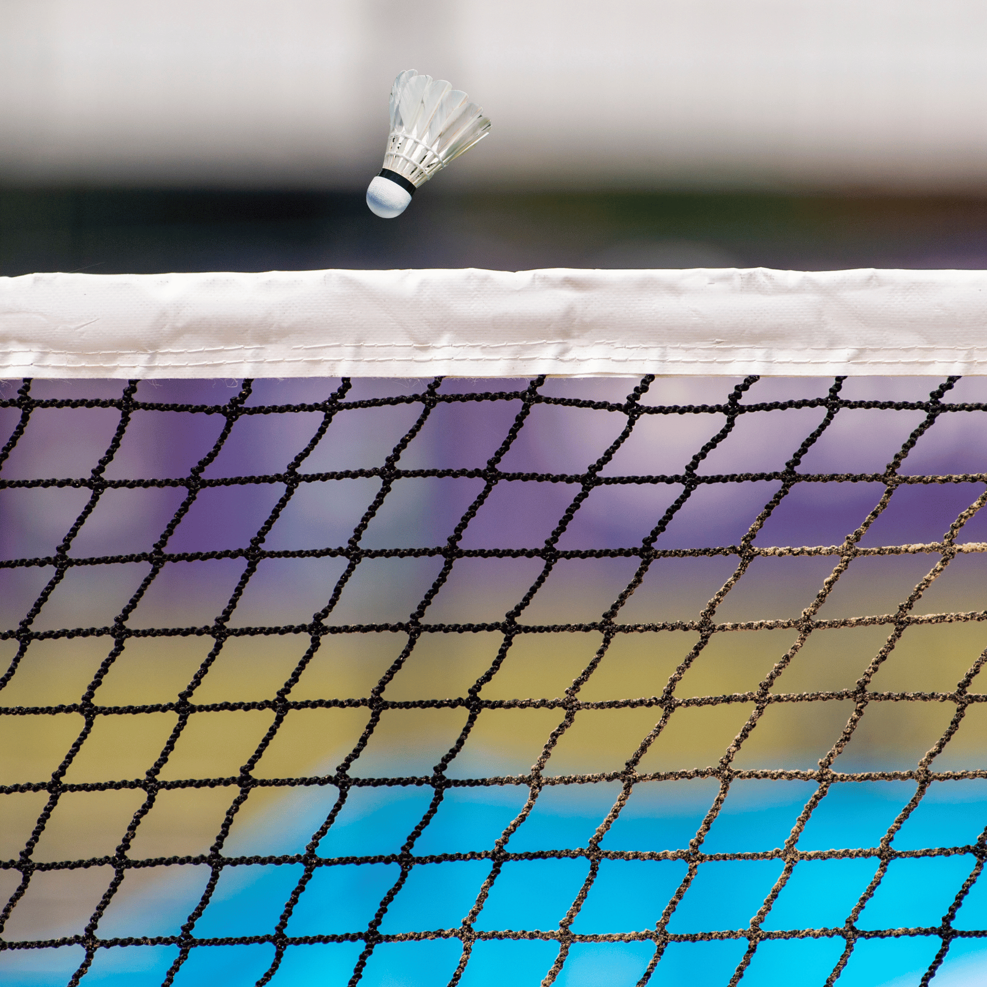 Garware Sportiva® Badminton Net - Image 2