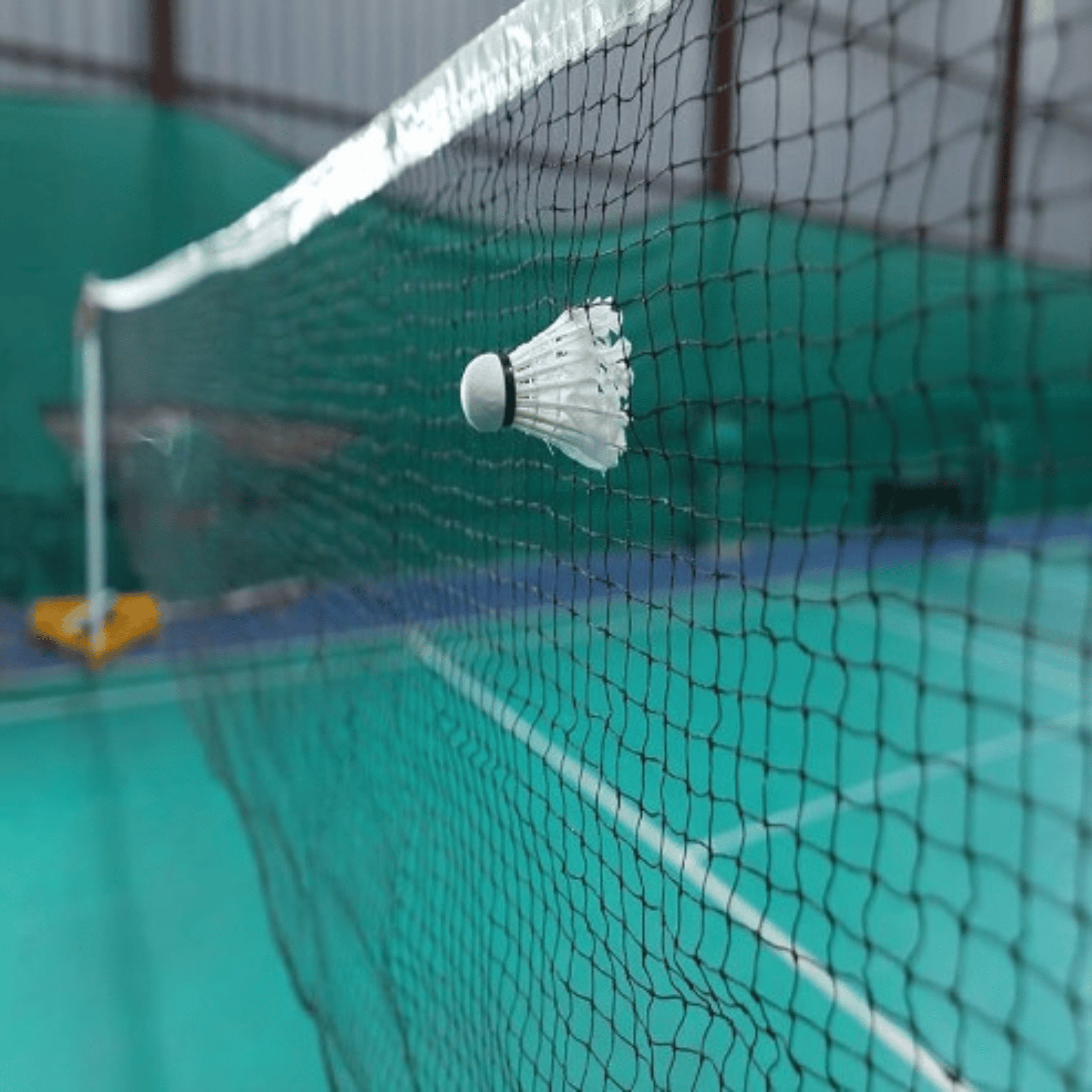 Garware Sportiva® Badminton Net